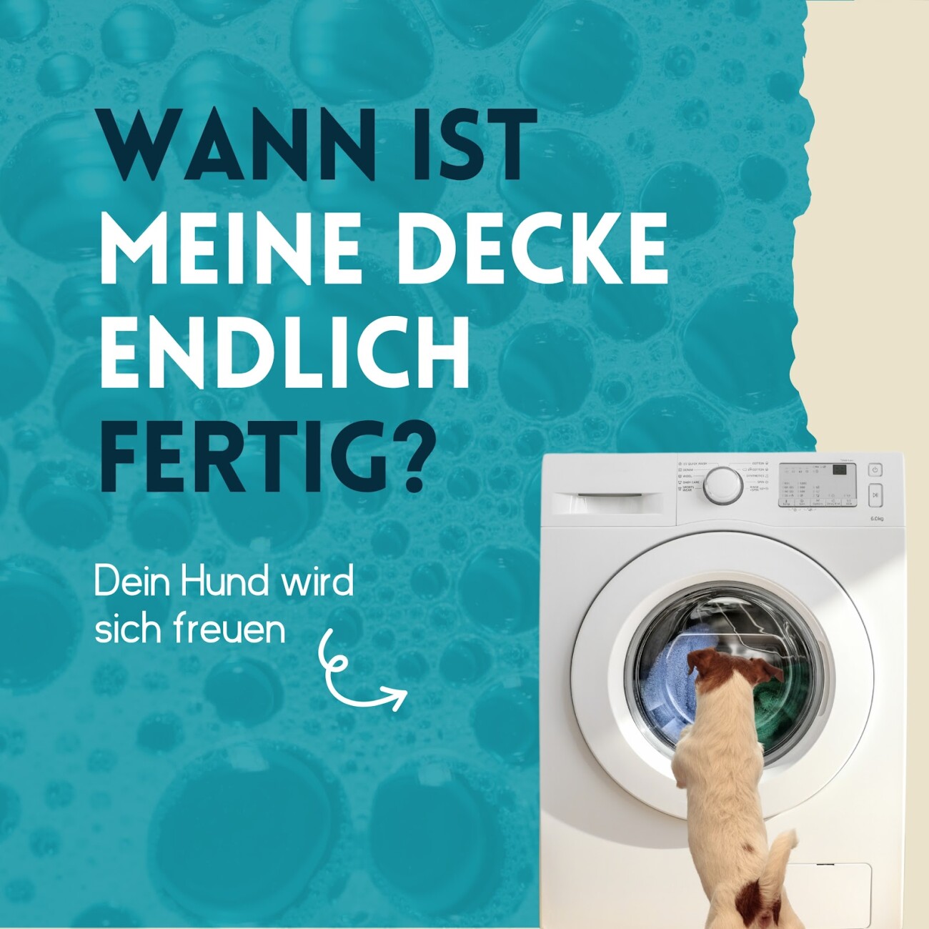 nimo Waschmittel für Hundebekleidung 500 ml