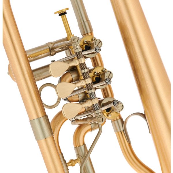Schagerl Hans Gansch Flugelhorn scratch
