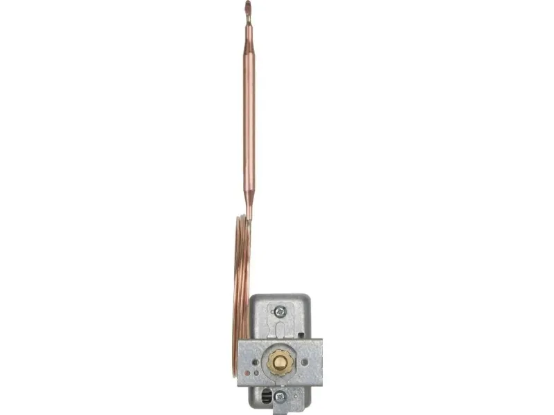 Jumo 60000495 Temperaturregulator