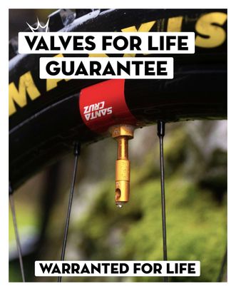 Valves Tubeless Peaty's x Chris King MK2 60mm Noir (13 Paires)