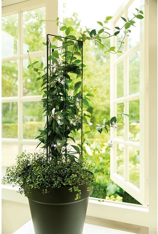 Peacock plantengeleider rechthoek groen 0,5 x 30 x 105 cm