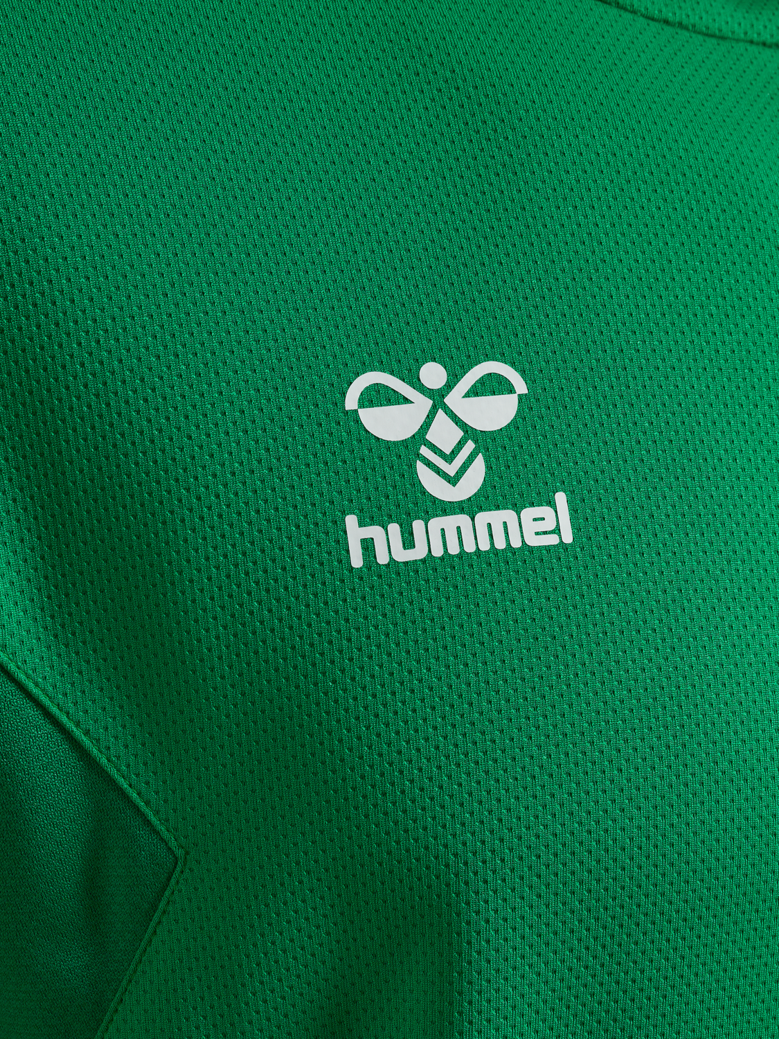 hmlAUTHENTIC PL HOODIE