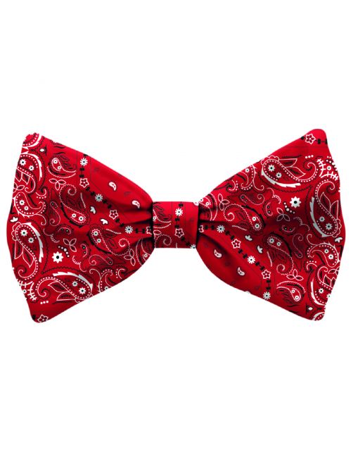 Plenty Gifts Bow Tie Dog  Pattern - Cadeau - 4x12x1 cm Rood Wit S