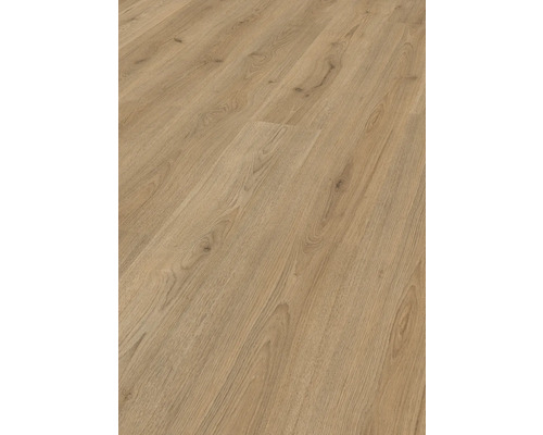 Laminaat 6.0 Trend Eiken Bruin Basic