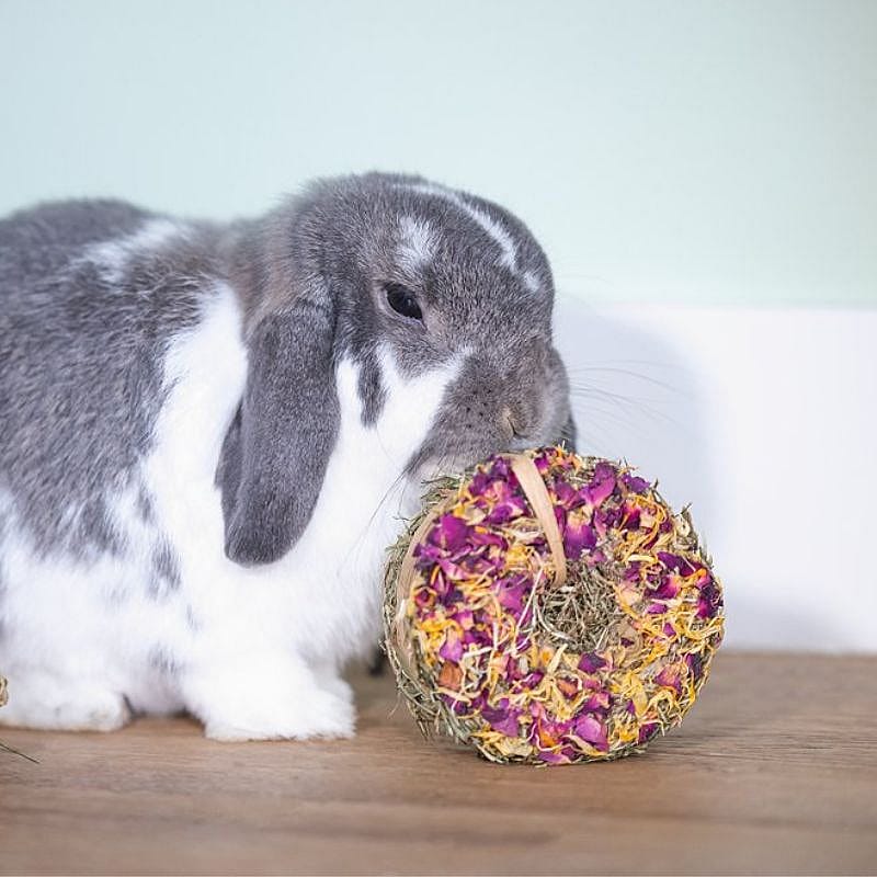 Beeztees Hooi Donut Roos En Goudsbloem Knaagdier 65 gram | 15344