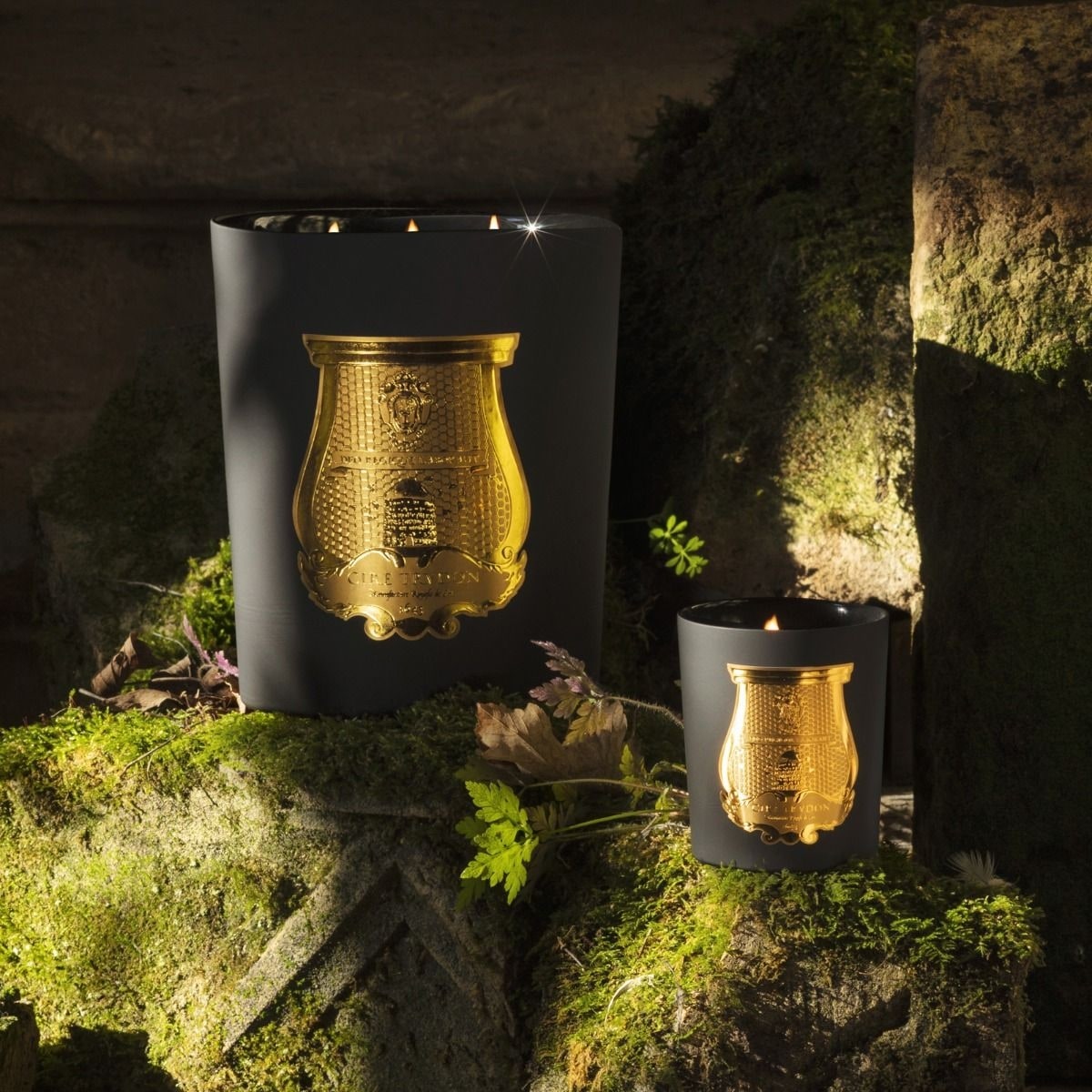 Trudon Mary • Cèdre et Bois de Gaïac Bougie Parfumée