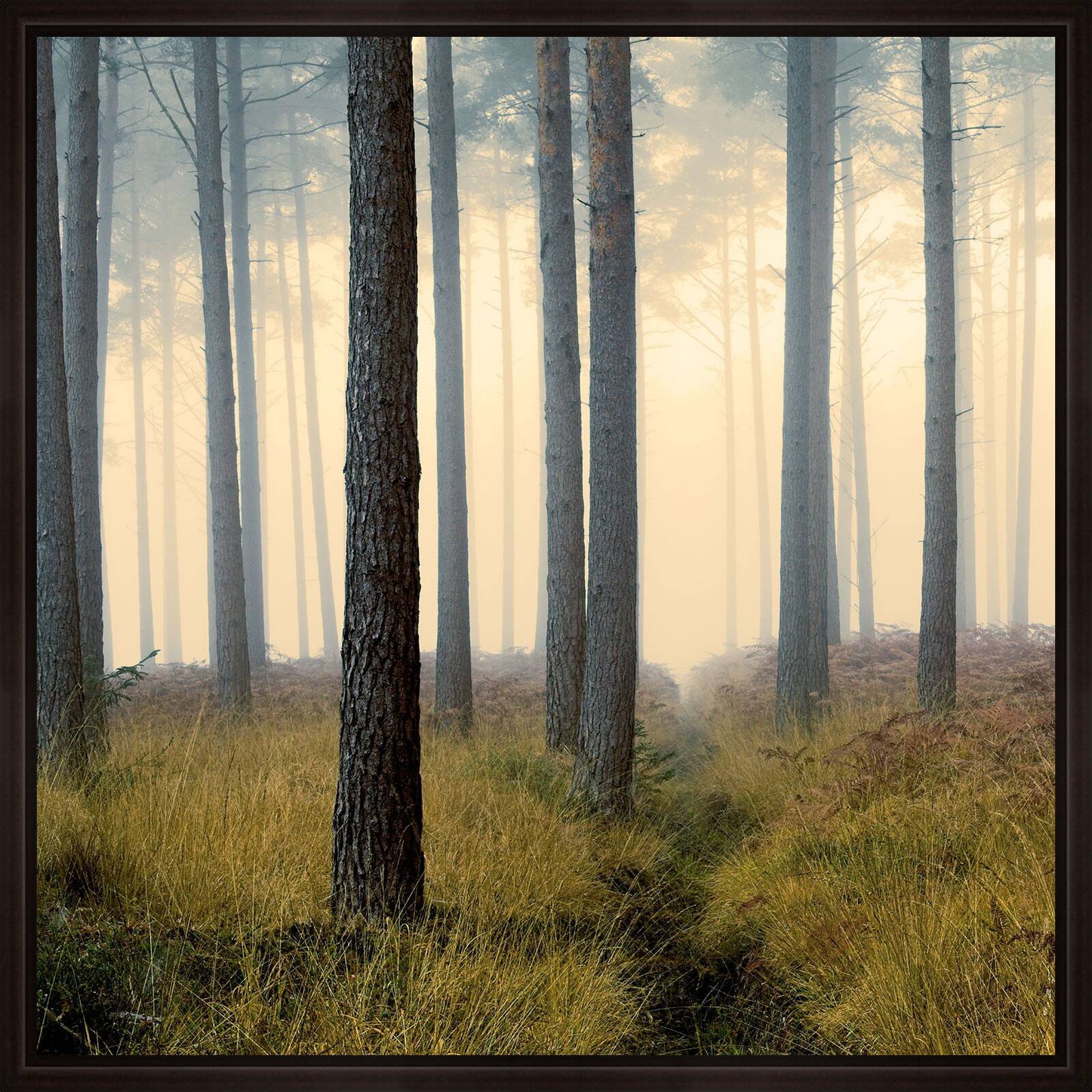 Forest Ridge by David Baker - Limited Edition. Edition of: 150. Signed.