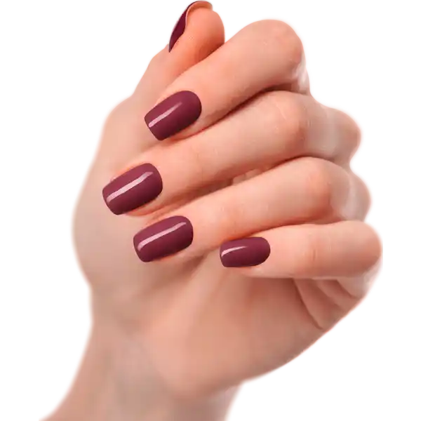 UV Gel Strip Bordeaux