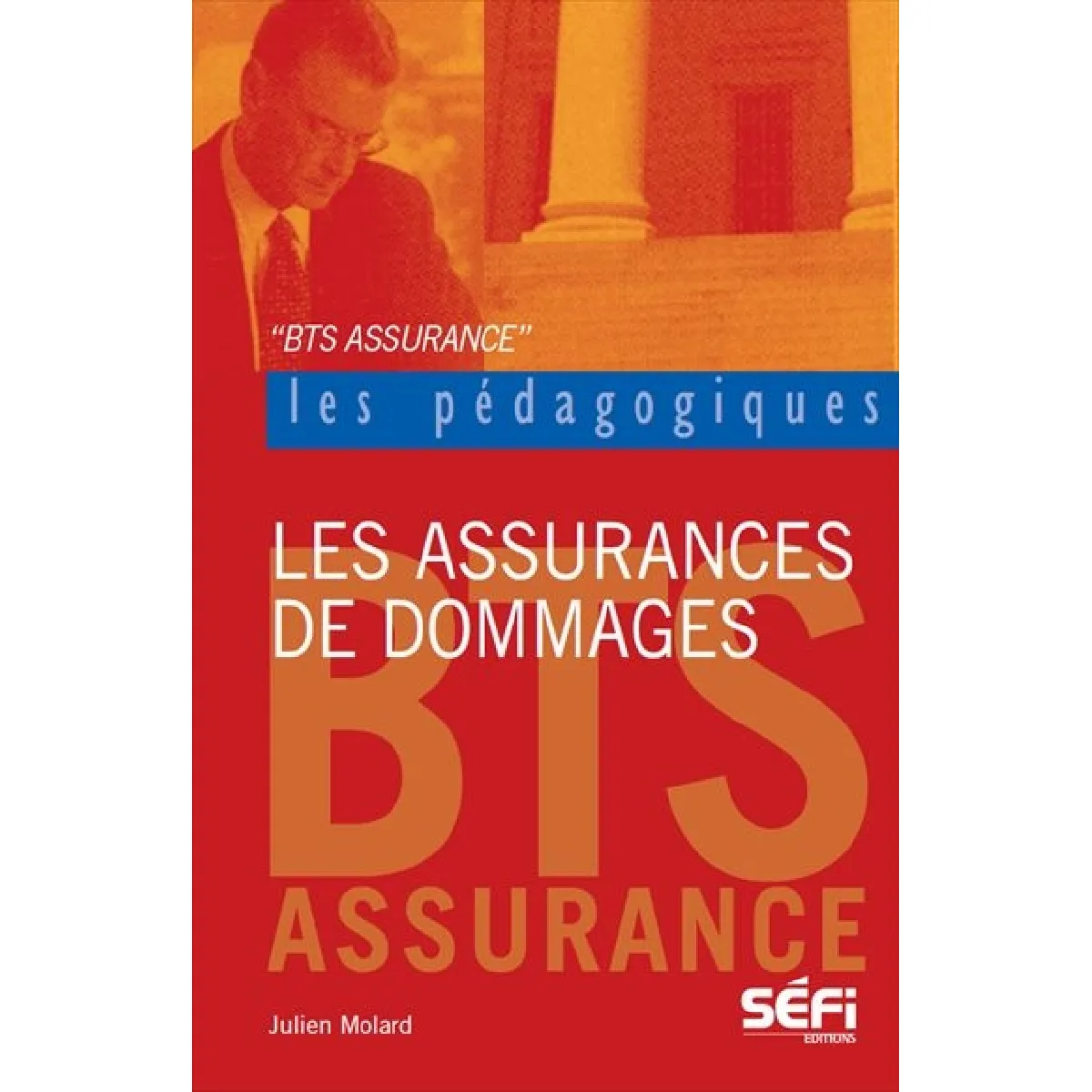 BTS assurance : les assurances de dommages · Occasion