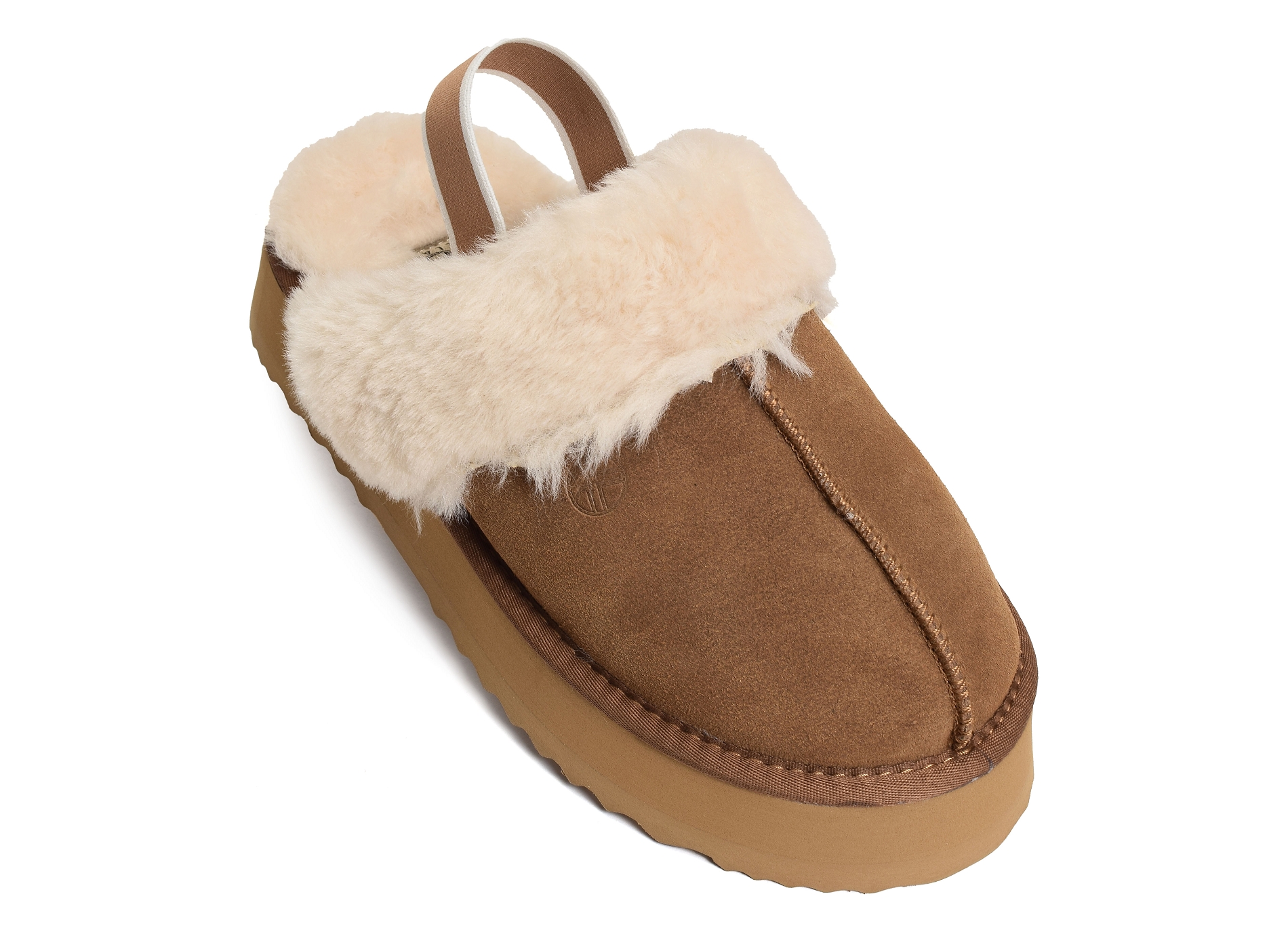 K21218 camel