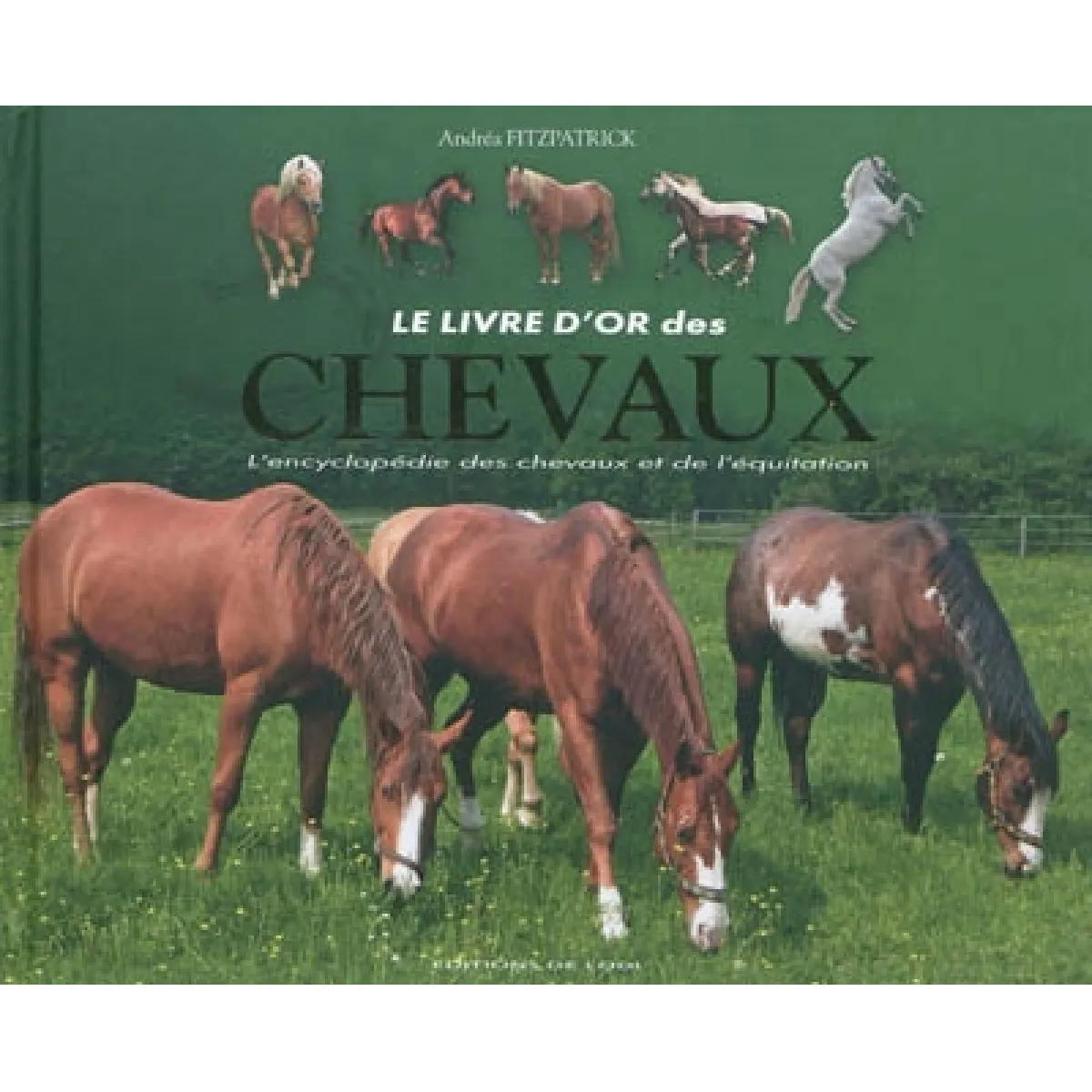 Le livre d'or des chevaux : l'encyclopédie des chevaux et de l'équitation · Occasion