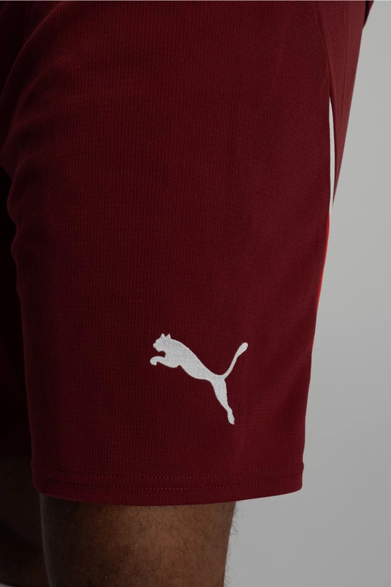 Puma Schweiz Home Replica Herren Short EM 2024