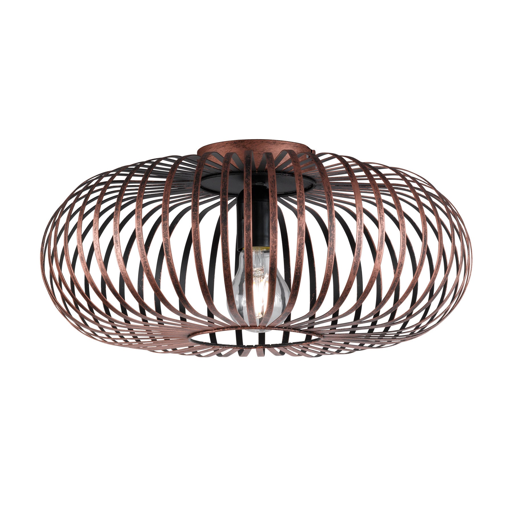 TRIO Johann Plafondlamp