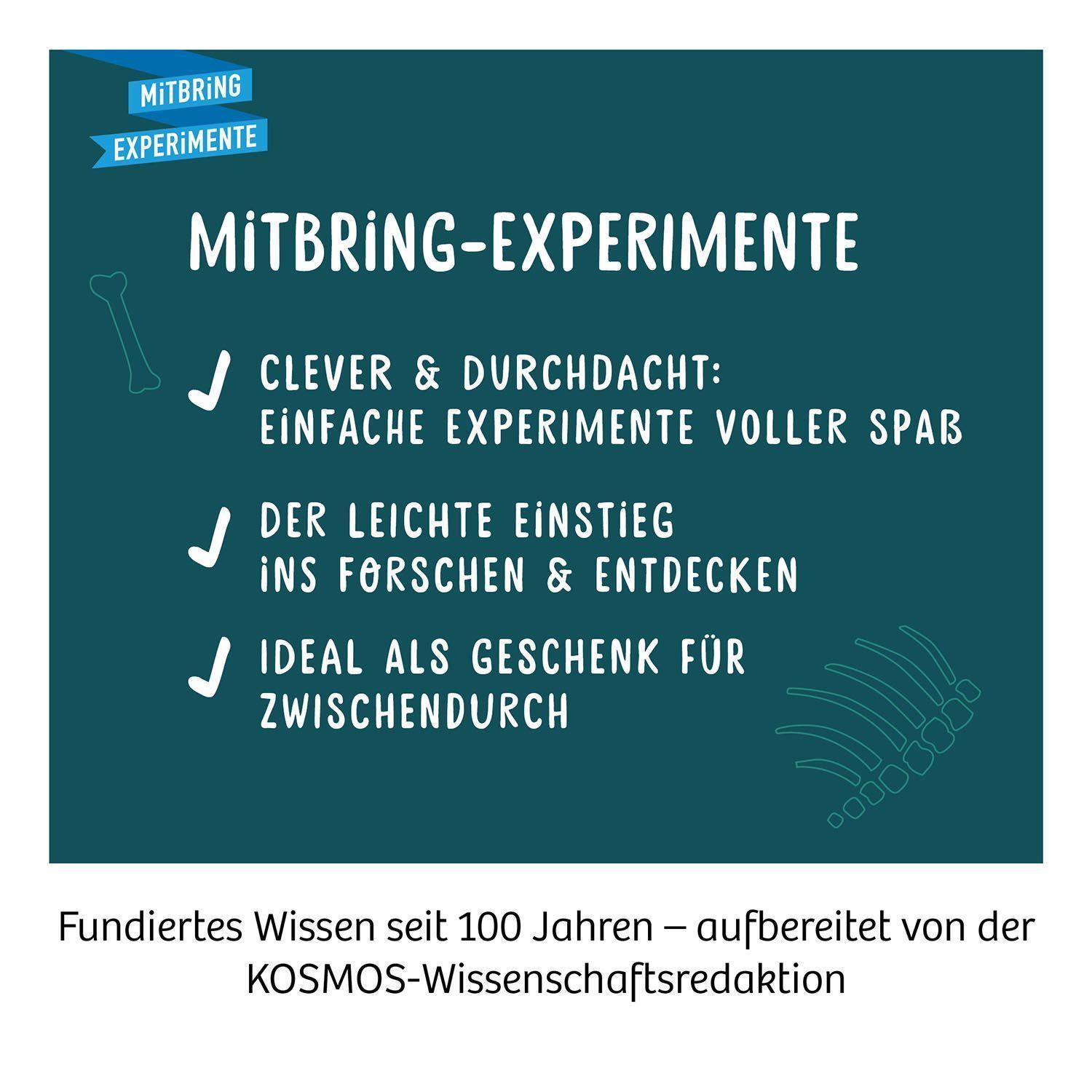 Experimentierkasten NACHTLEUCHTENDER FLUGSAURIER