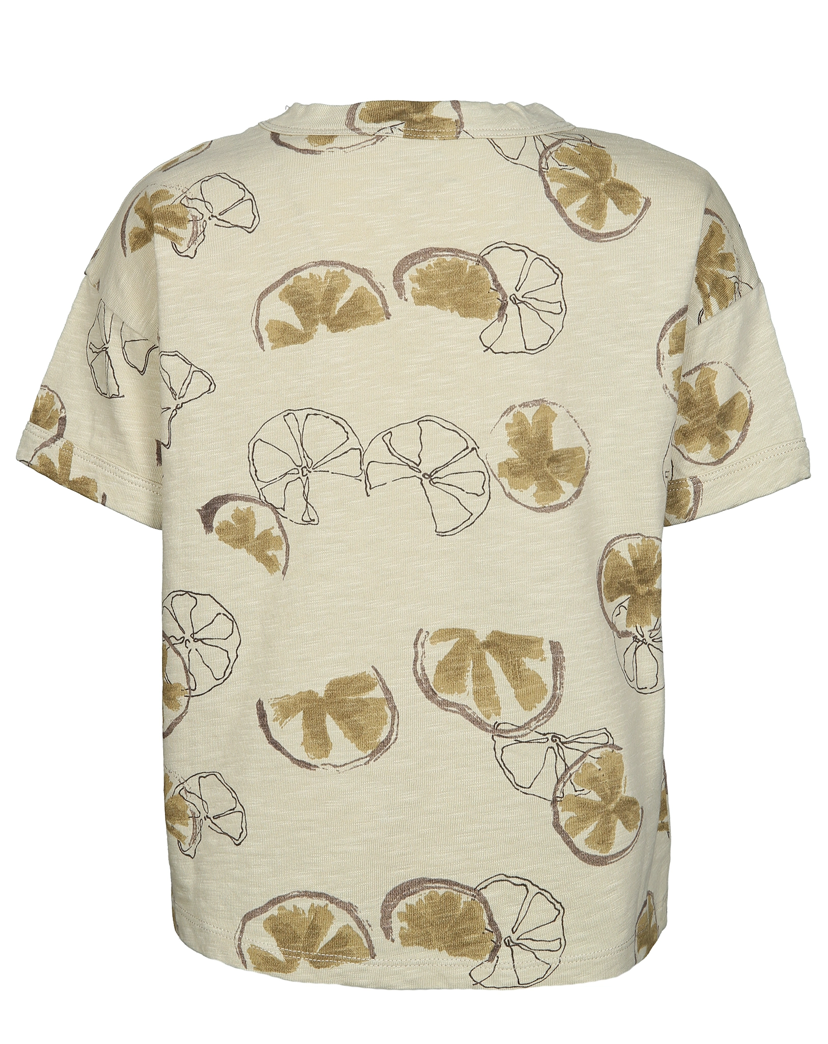 Jersey-T-Shirt ALOE VERA in braun