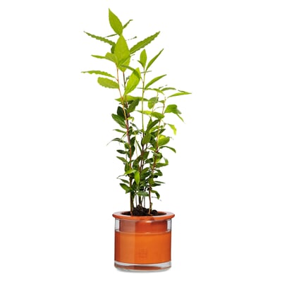 Pflanzgefäß Wet Pot Systems, Ø 15 cm