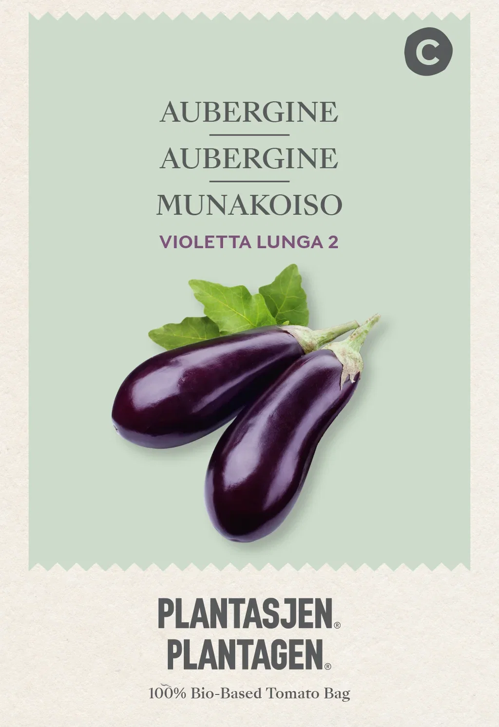 Solanum melongena Aubergine 'Violetta Lunga 2'