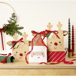 Kit pochettes-cadeaux de Noël 'Santa & Deer'