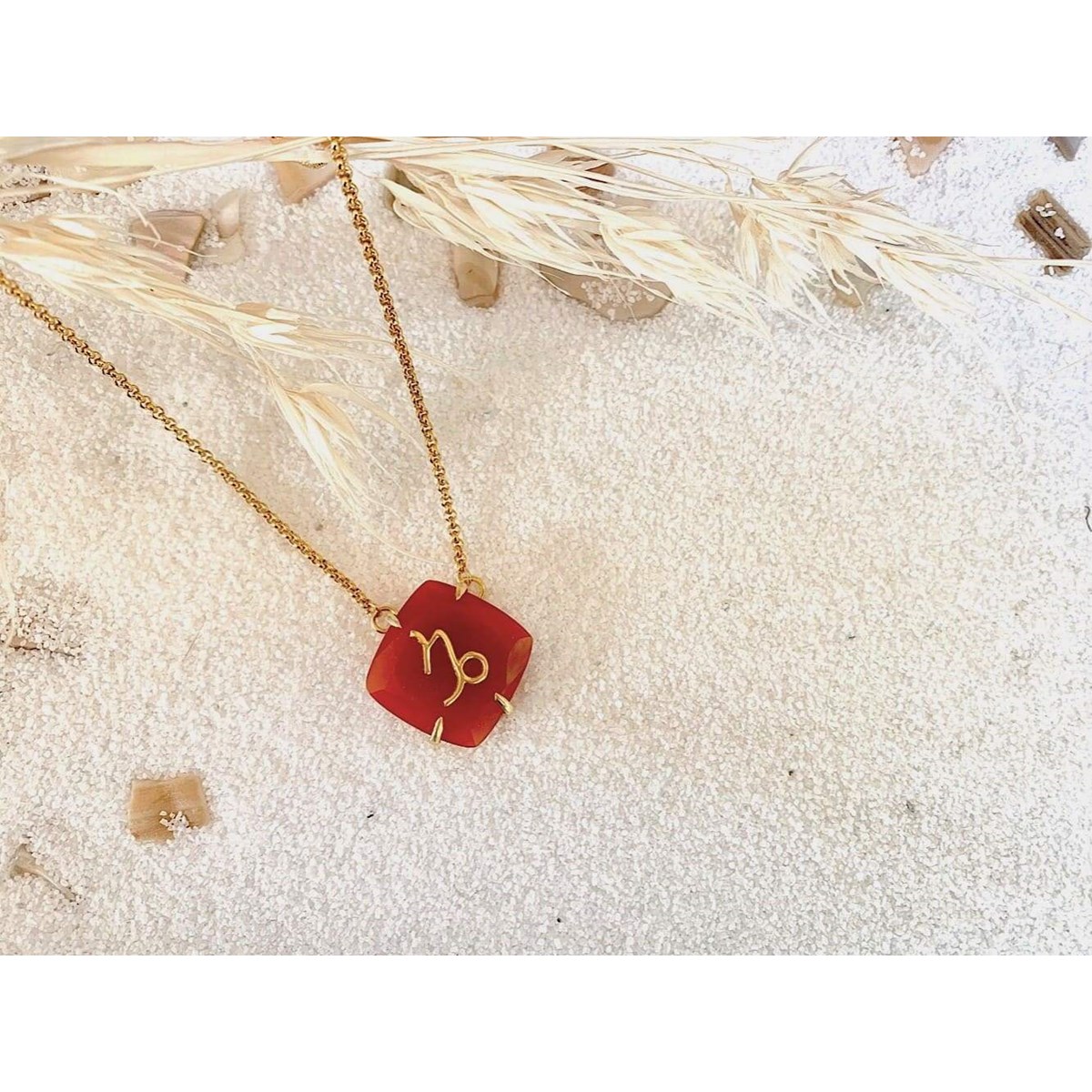 Collier astro Capricorne