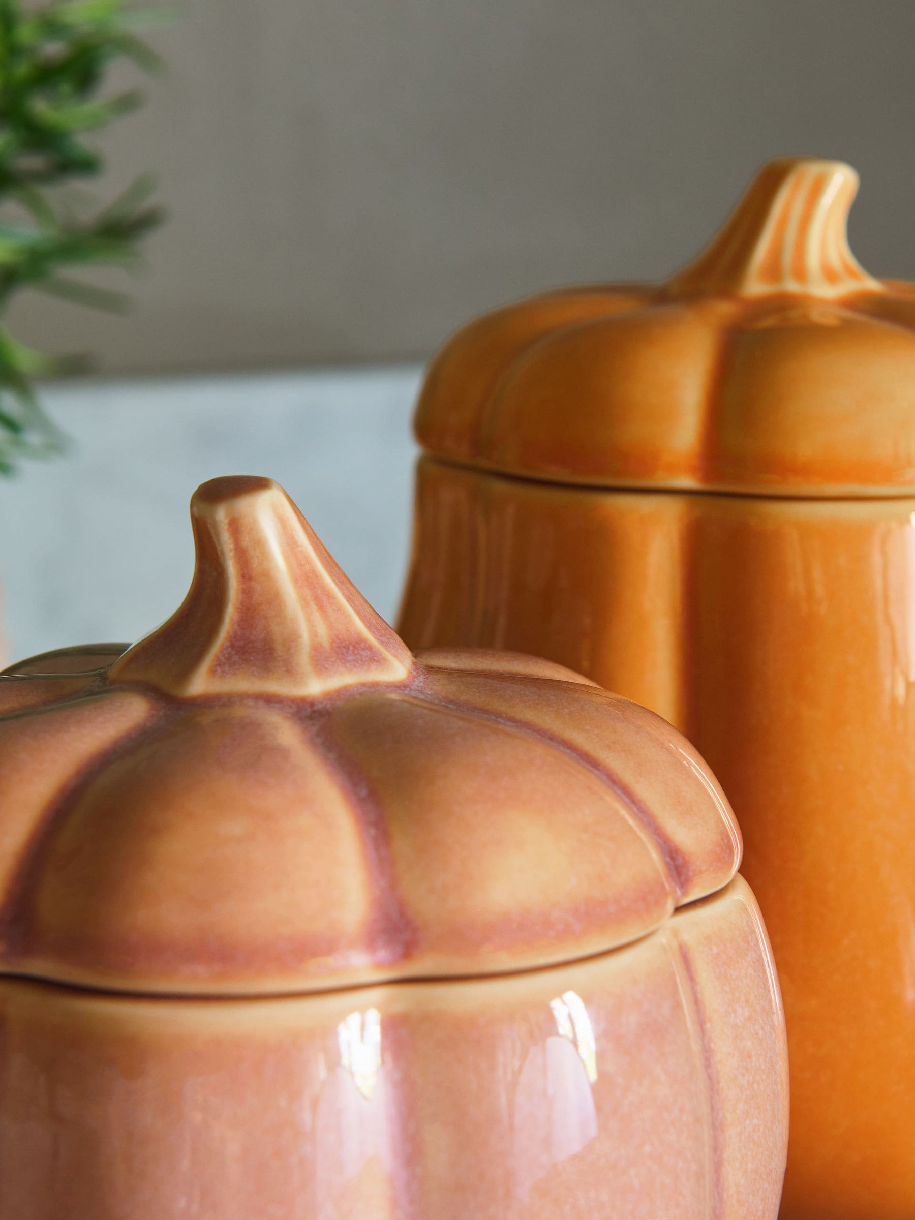 Set of 2 Pumpkin Storage Jars