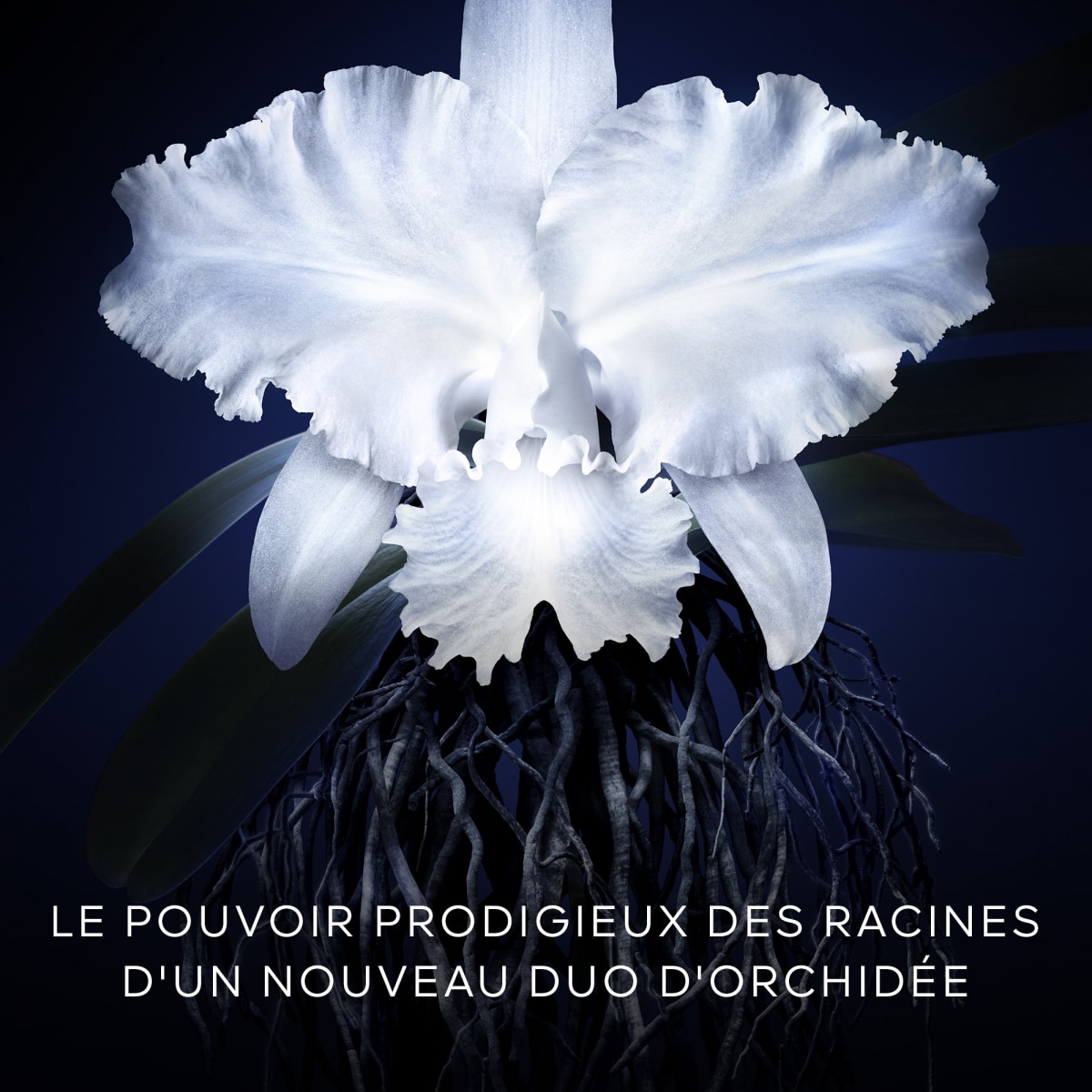 GUERLAIN Orchidée Impériale La Crème Légère - La Recharge