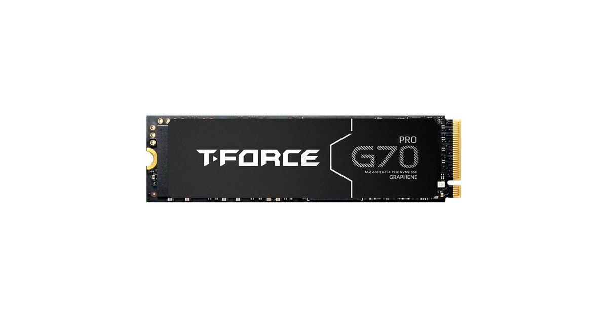 Team GroupT-FORCE G70 Pro 1 TB SSD  (PCIe 4.0 x4 | M.2 2280 | Grafeen-Heat Sink)