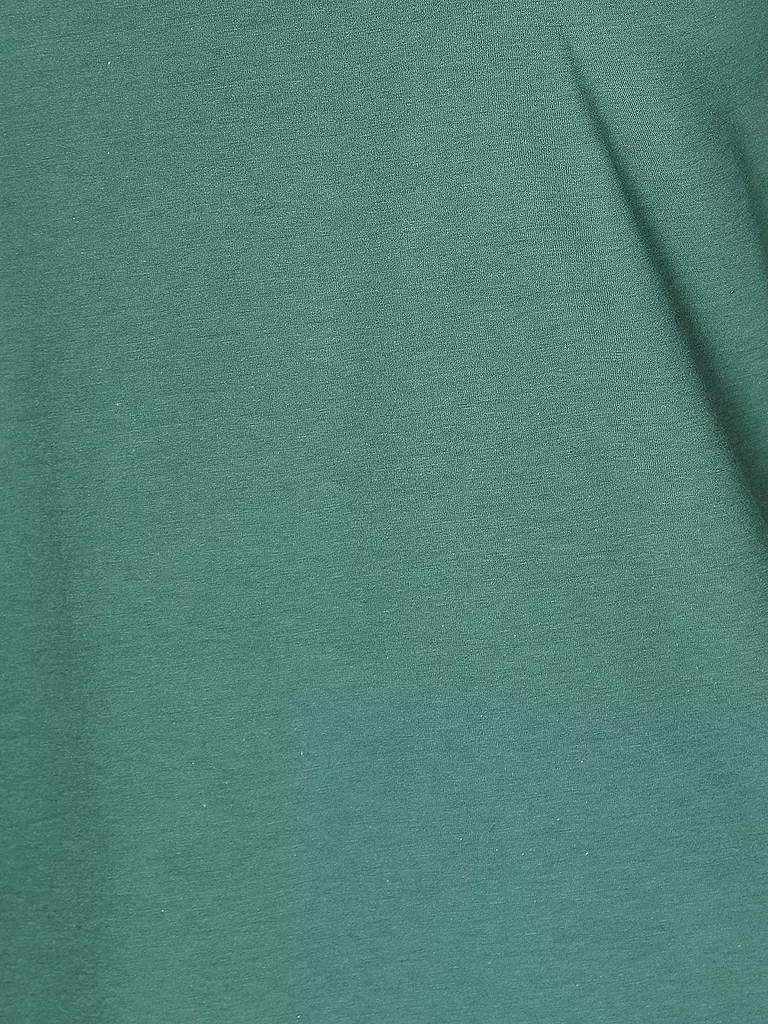 LANIUS Rollkragenshirt  grün