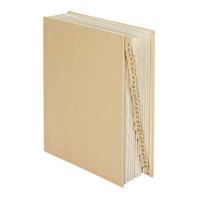 Extendos - Trieur numérique 31 positions - kraft