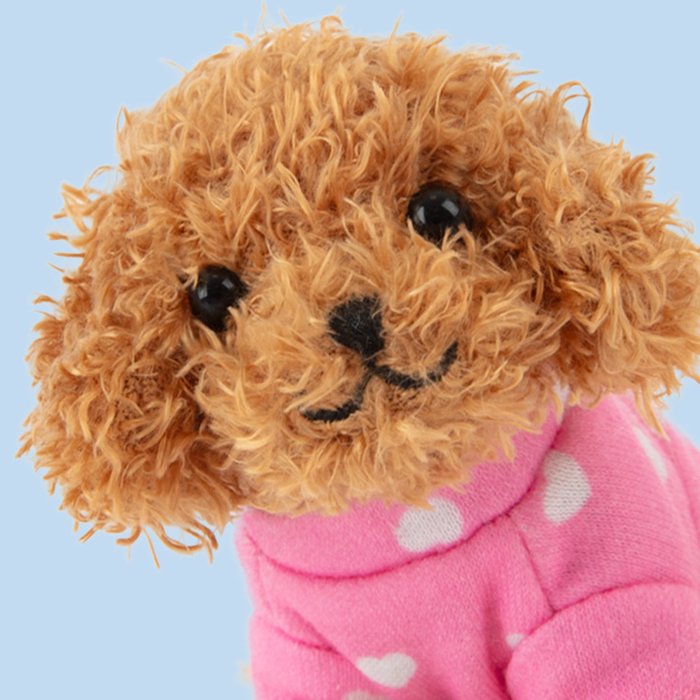 Studio Pets | Mini Cookie met koffertje 8 cm