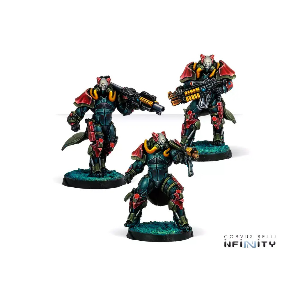 Infinity - Combined Army - Rodoks, Armed Imposition Detachment