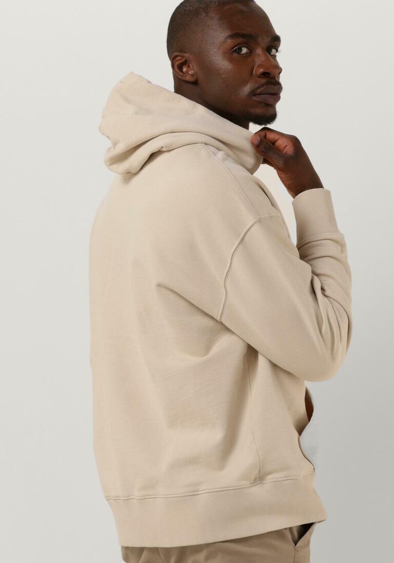 TOMMY JEANS beige tommy jeans sweater tjm rlx xs badge hoodie