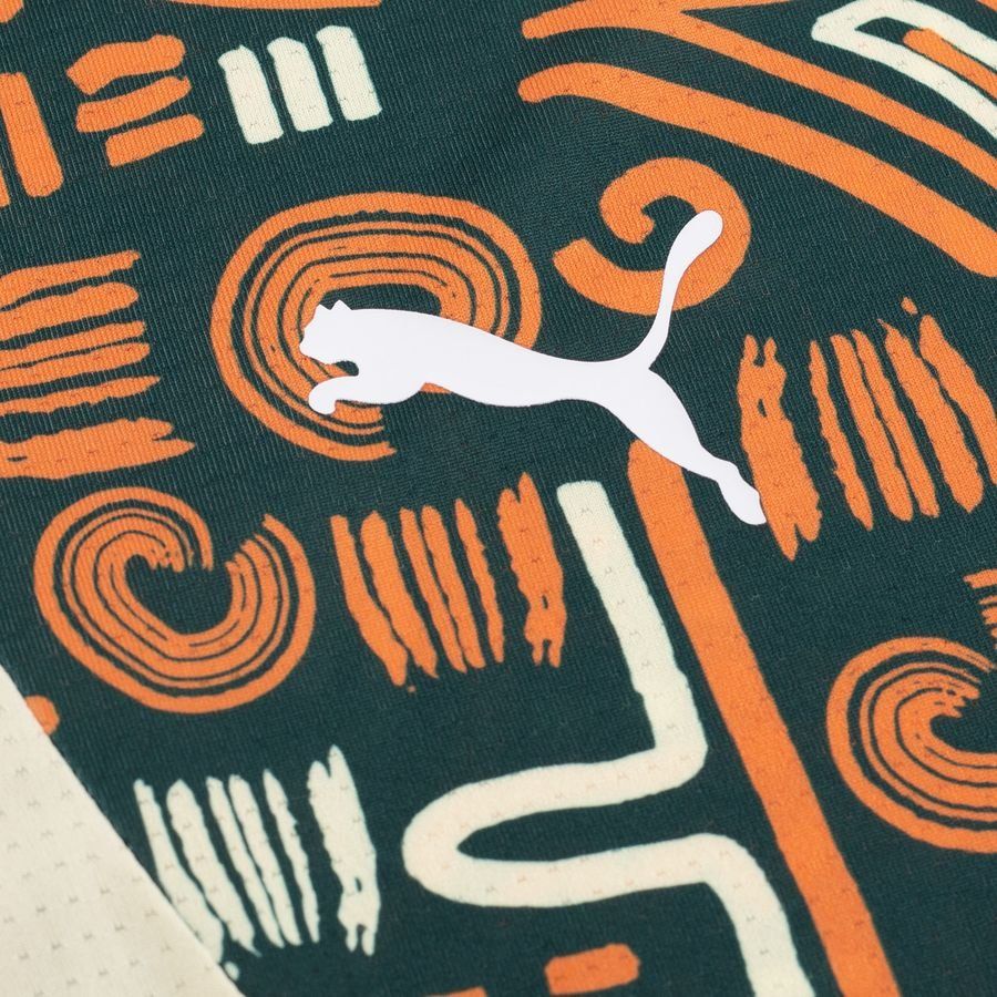 Côte D'Ivoire T-shirt d'Entraînement Avant-Match Africa Cup of Nations 2025 - Vert/Orange