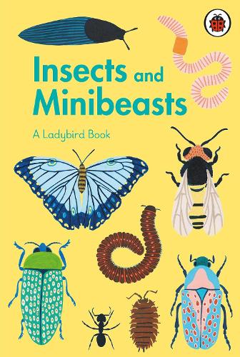 A Ladybird Book: Insects and Minibeasts - A Ladybird Book (Hardback)