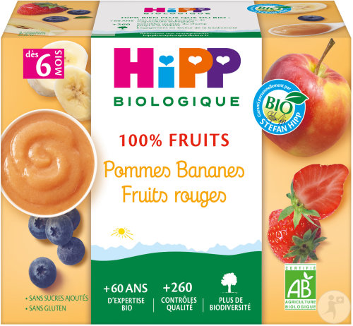HiPP Biologique 100% Fruits Pommes Bananes Fruits Rouges Dès 6 Mois Coupelles 4x100g