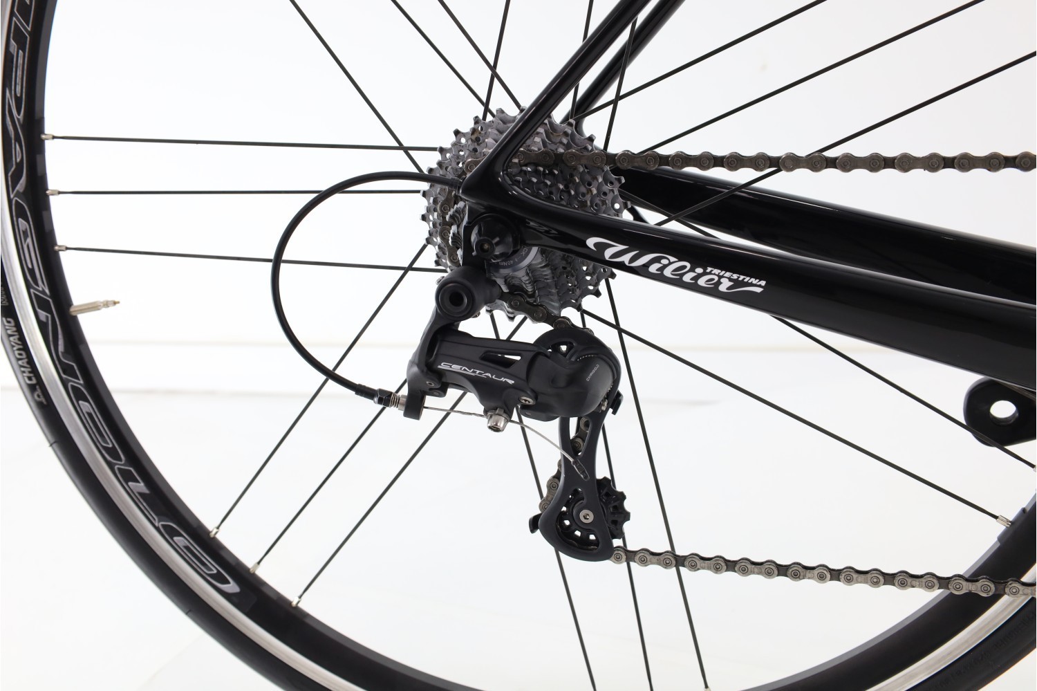 Wilier Triestina GTR Team (2023) | Diamond