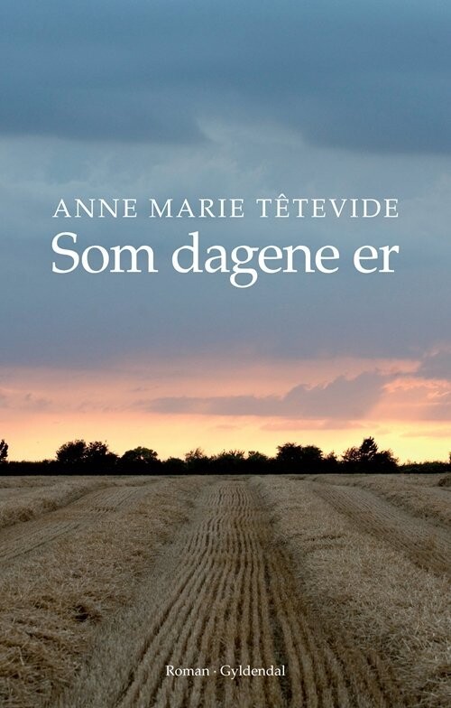Som Dagene Er - Anne Marie Têtevide - Bog