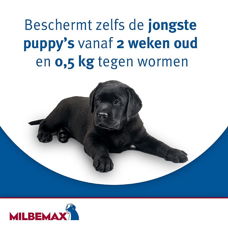 Milbemax Kleine Hond Ontwormingstabletten