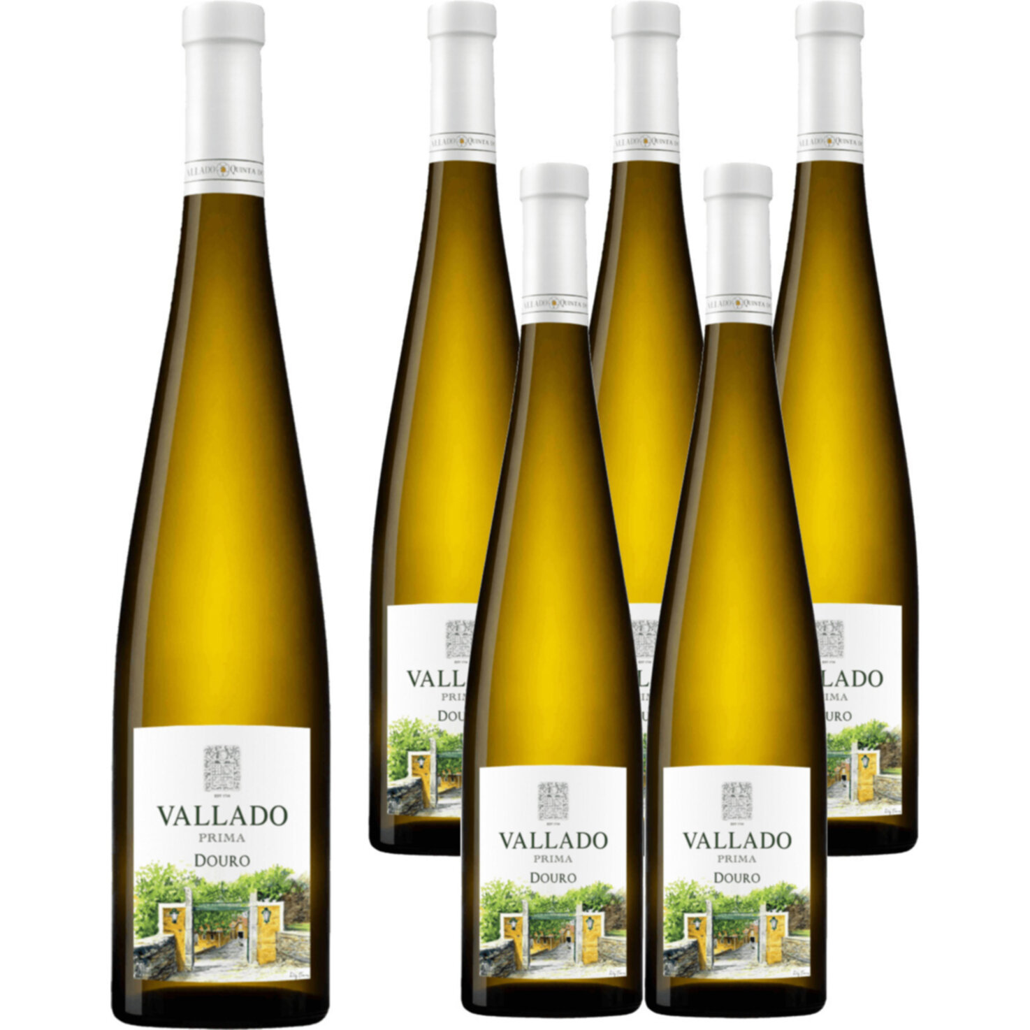 Douro DOC Prima Branco Quinta do Vallado 6x 75cl -6x 75cl