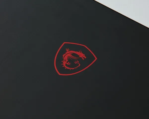 MSI GF75 Thin 9SC-087NE - Intel® Core™ i5-9300H - 17.3