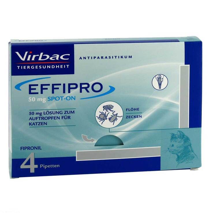 EFFIPRO 50 mg SPOT-ON für Katzen, 4 St