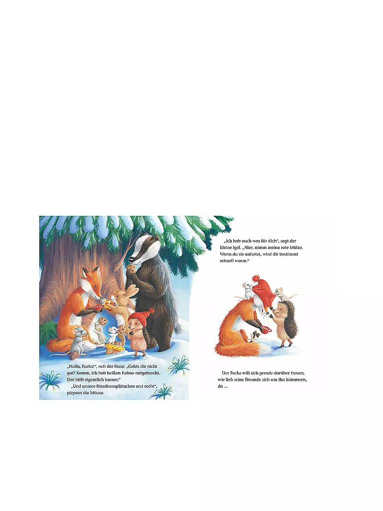 BRUNNEN VERLAG Buch - Der kleine Igel und die abenteuerliche Suche keine Farbe
