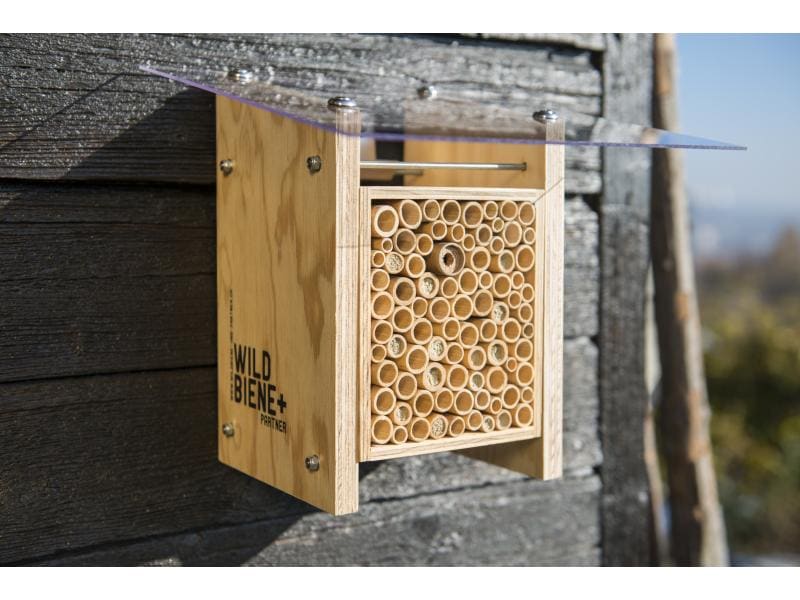 BeeHome Wildbienenhotel Classic Wildbienen-Häuschen mit Mauerbienen-Population