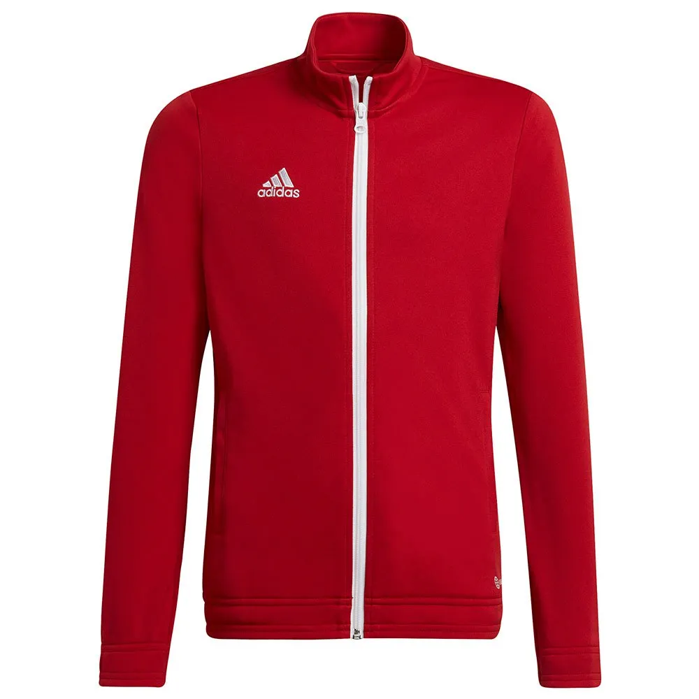 jaqueta adidas Entrada 22