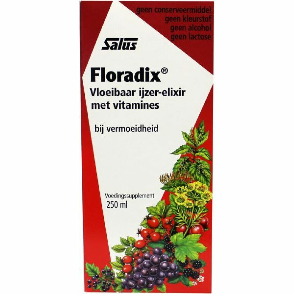 Floradix Vloeibaar Ijzer-Elixer met Vitamines250 ml
