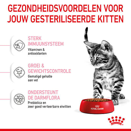Royal Canin Kitten Sterilised | 3.5 kg | 12901.1