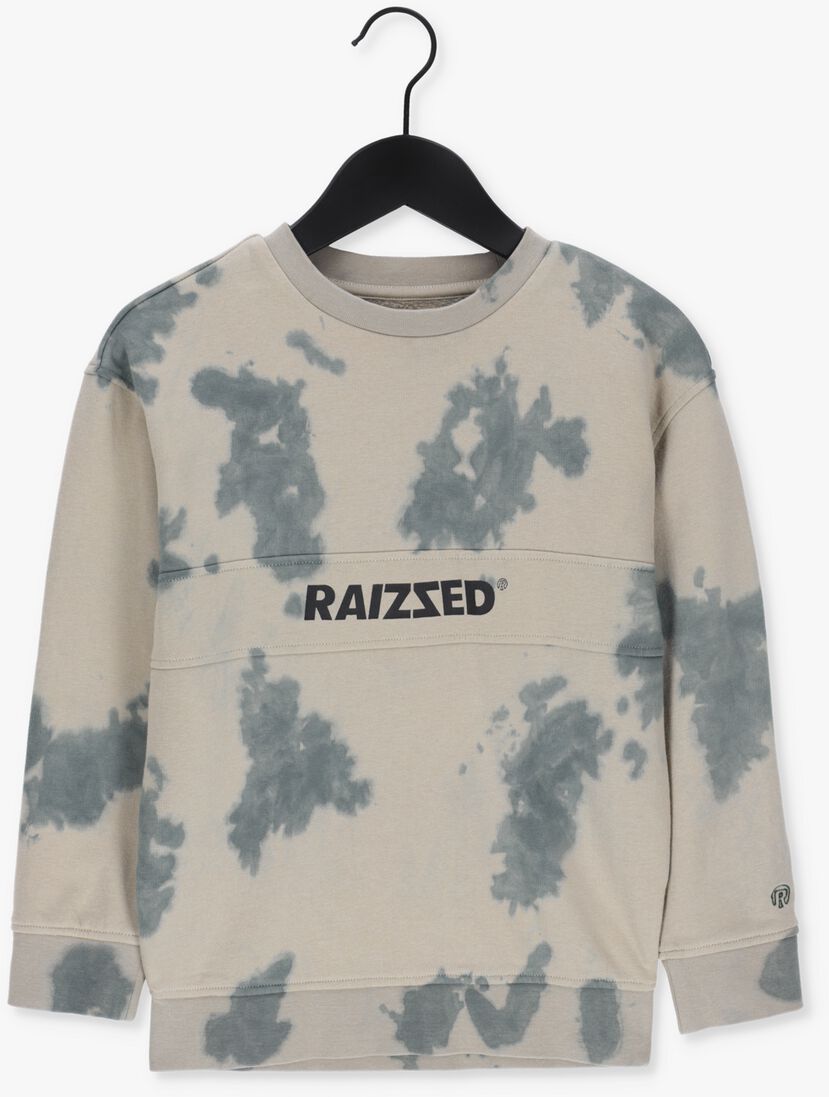 RAIZZED groene raizzed trui mercer