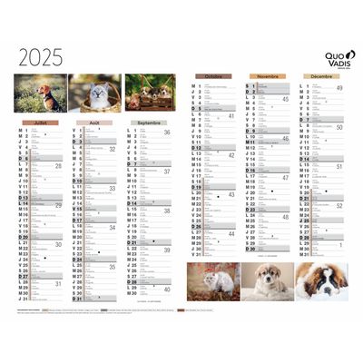 Quo Vadis - Calendrier Fantaisie 6 mois par face - 27 x 21 cm - animaux
