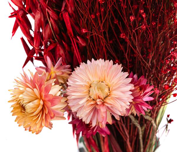 Trockenblumenbouquet Trendy, rosa