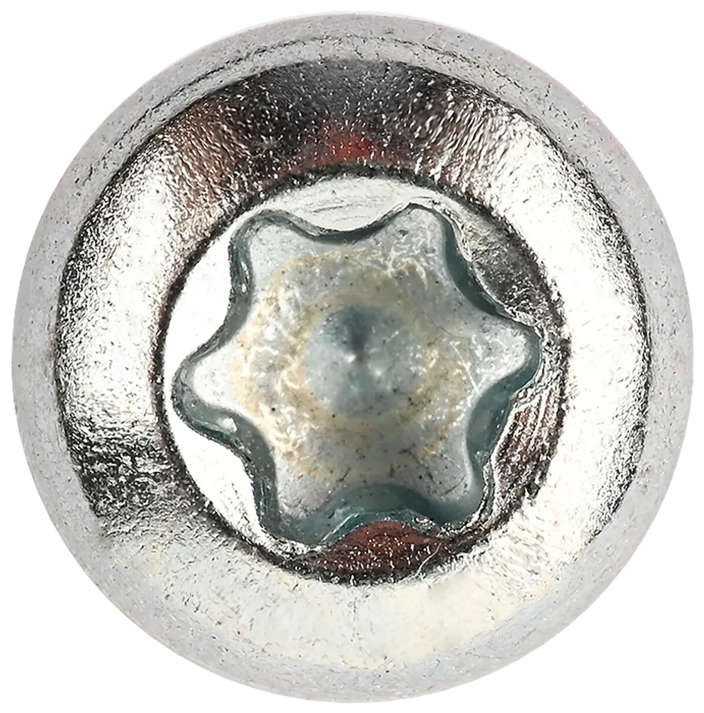 Panskrue 5,0 x 20 mm TX25 200 stk.