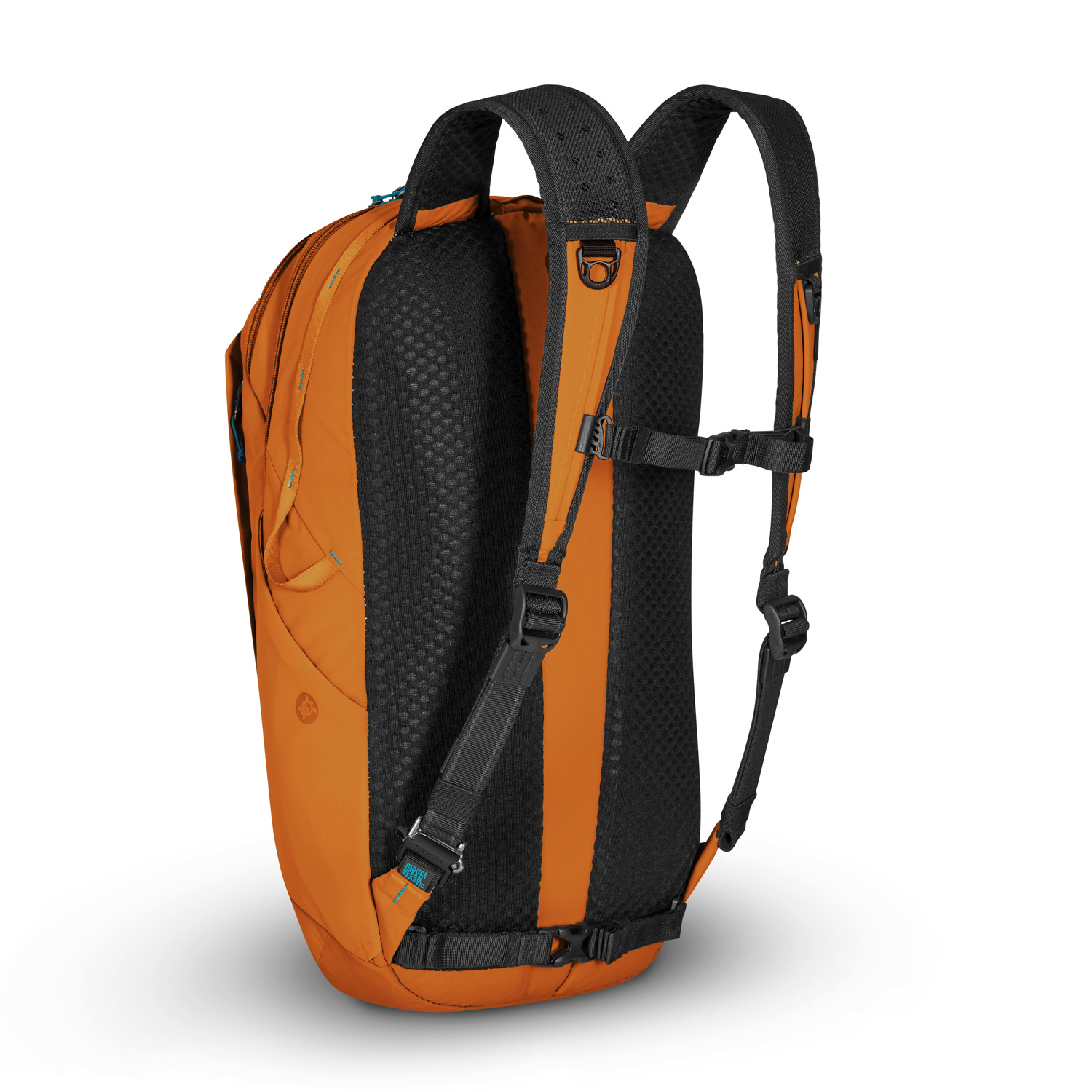 ECO 25L backpack
